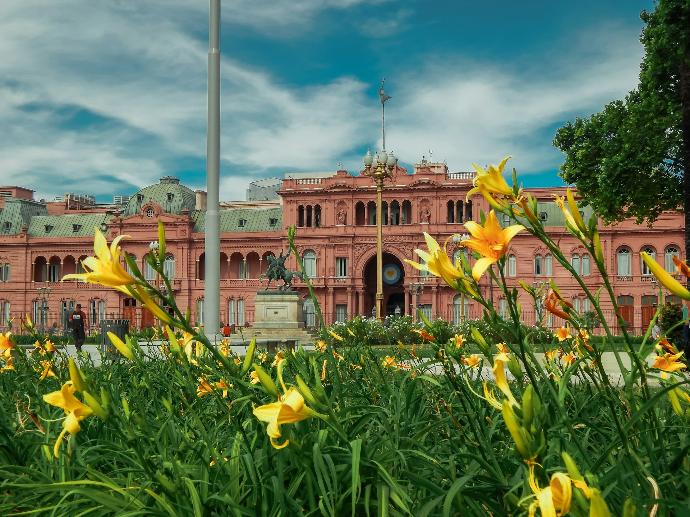 yellow flowers in front of white and brown building