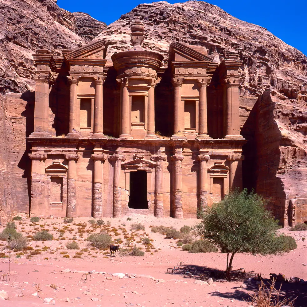 Petra Amán.webp