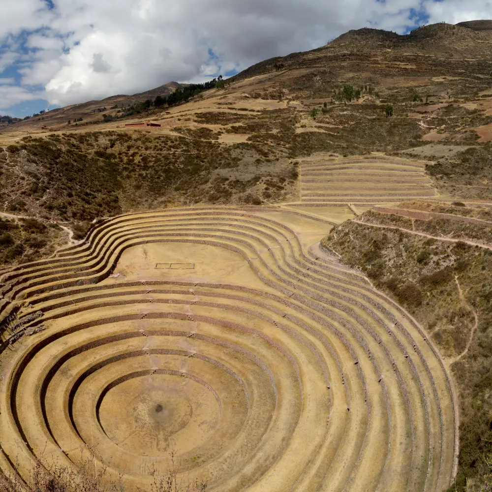 Moray.webp