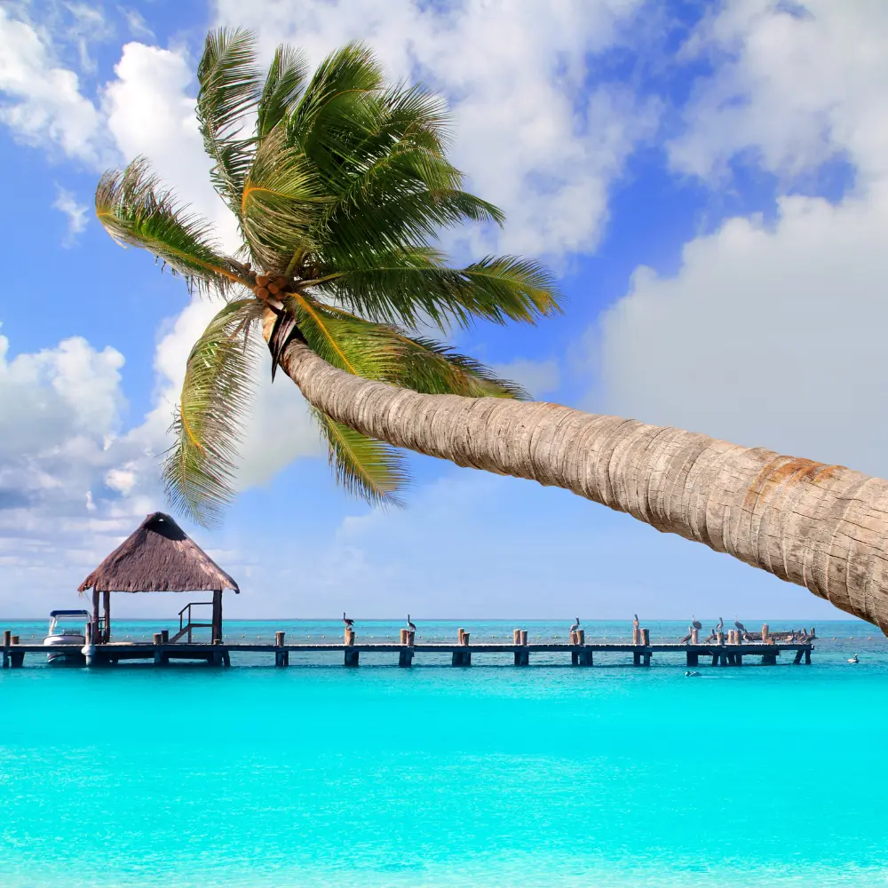 Cancún1.webp