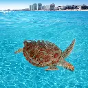 Cancún2.webp