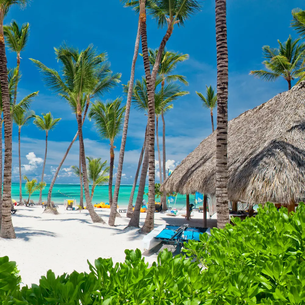Punta Cana.webp